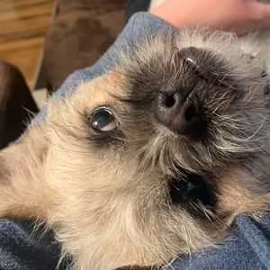 Meet your Posher, Kally